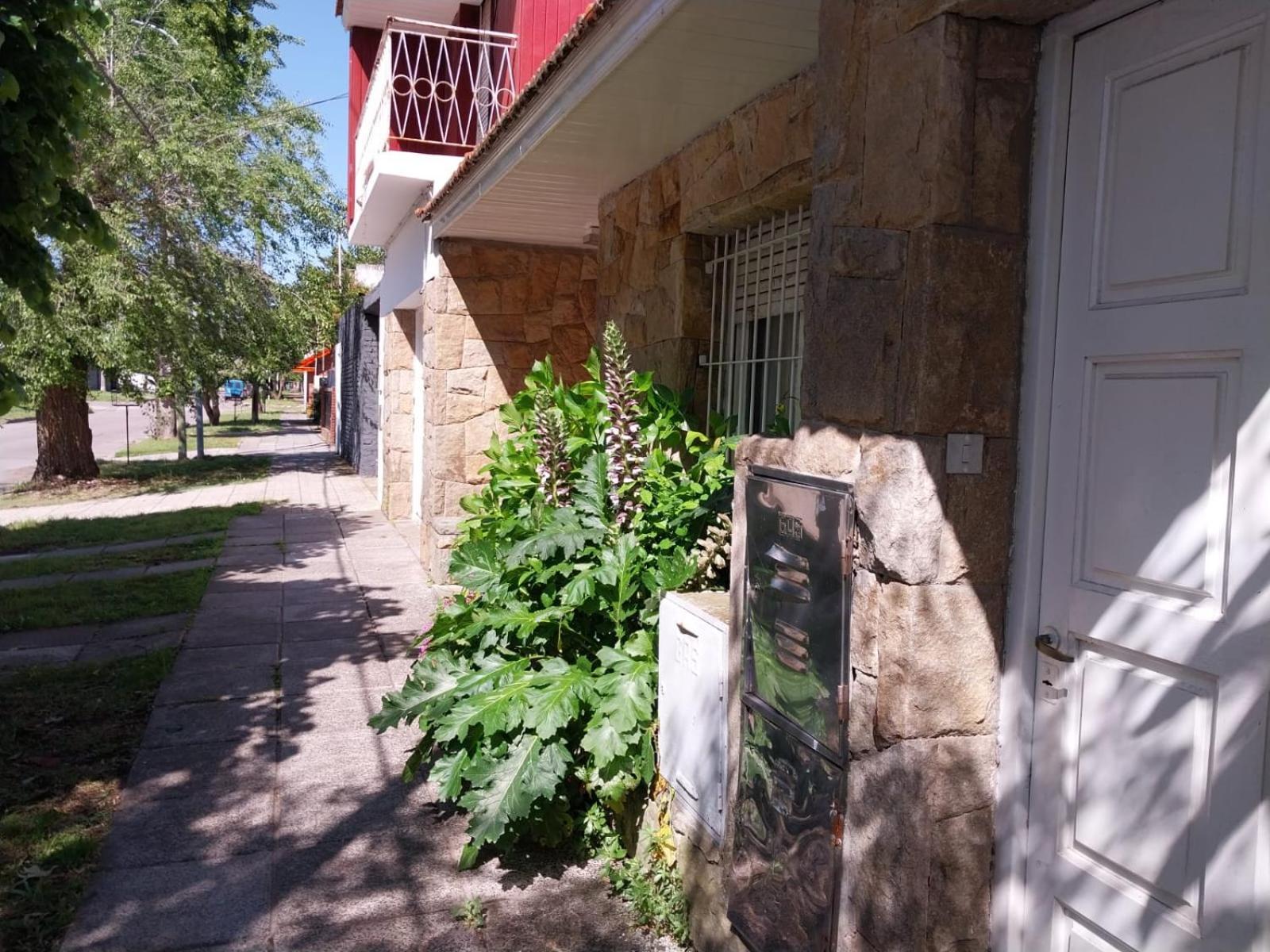 Mi Casa *
